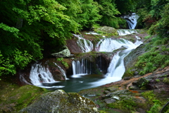 深緑のおしどり隠しの滝