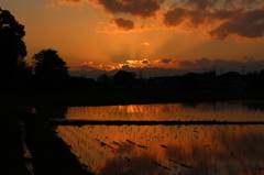 夕に妬ける