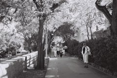 Capri-2