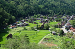 白川郷