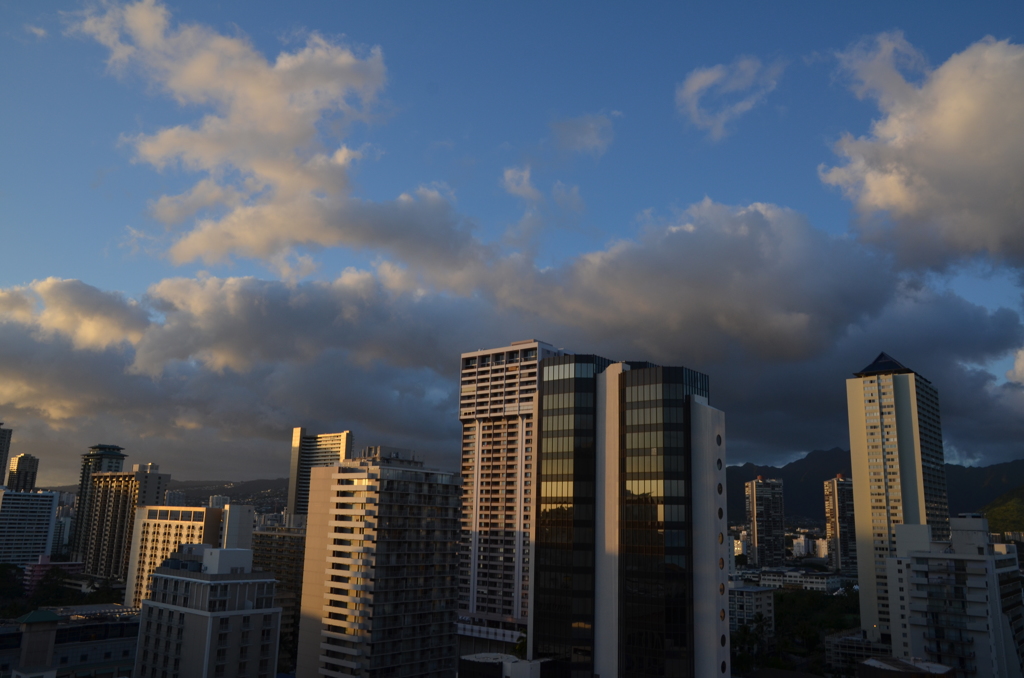 楽園
