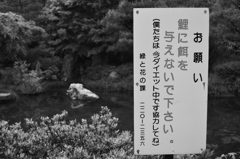 お願い