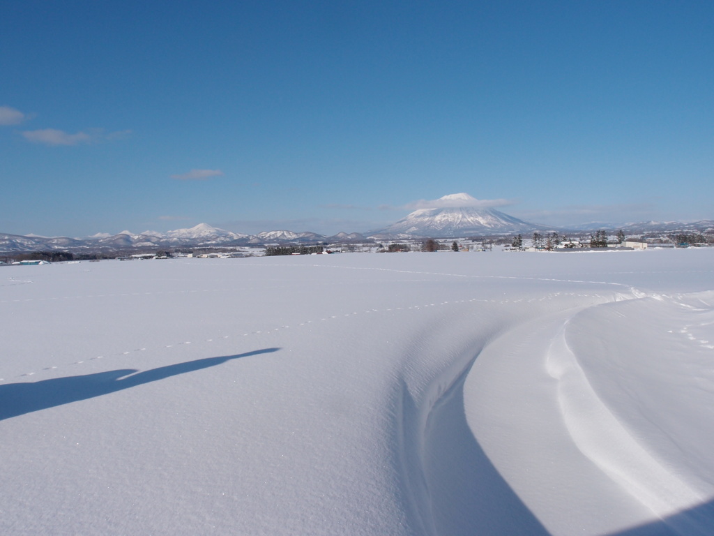 雪原のみち