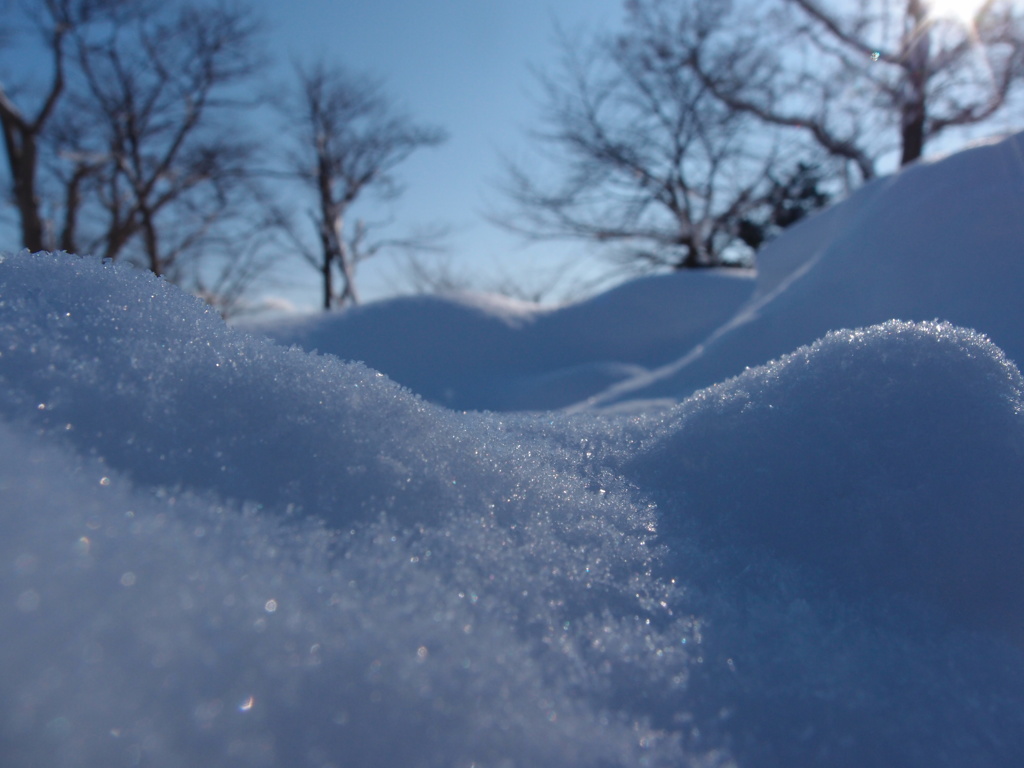 雪きらり
