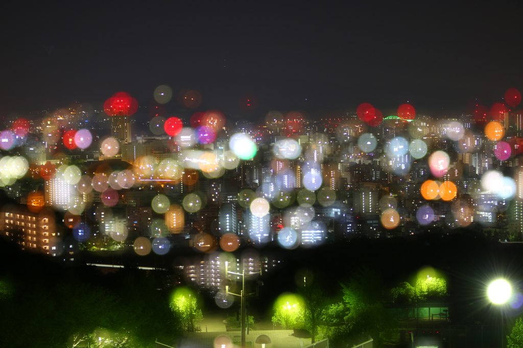 夜に現る金平糖