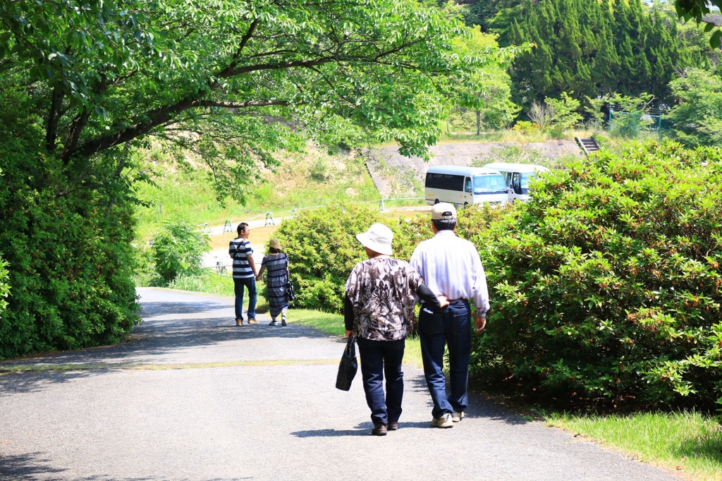 理想な二組