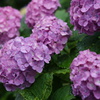 DSC00118