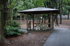DSC00100