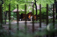 DSC00105