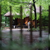 DSC00105