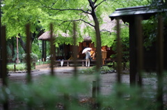 DSC00104