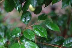 DSC00151
