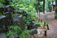 DSC00095