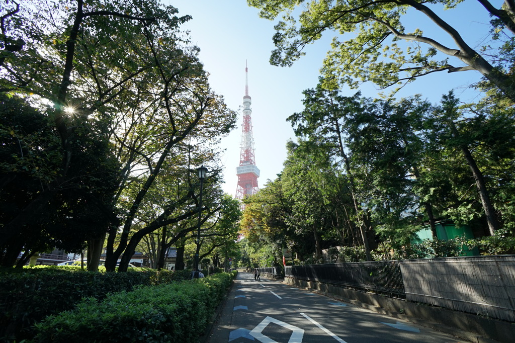 道路の向こうに
