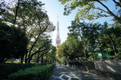 道路の向こうに