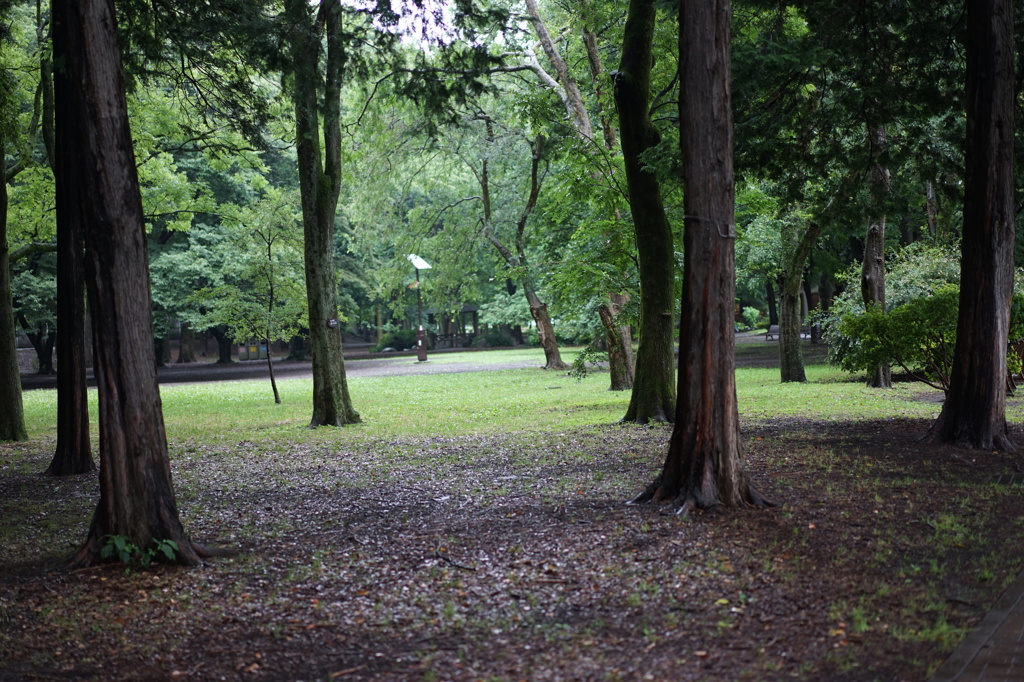 DSC00114
