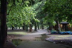 DSC00101