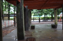 DSC00113