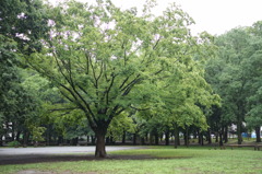 DSC00155
