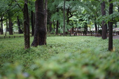 DSC00106