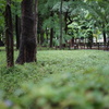 DSC00106