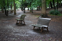 DSC00102