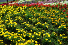 DSC00125