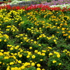 DSC00125