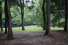 DSC00115