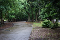 DSC00164