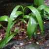 DSC00148