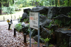 DSC00096
