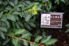 DSC00116