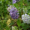 DSC00117
