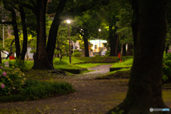 東京タワー