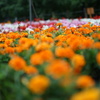DSC00128