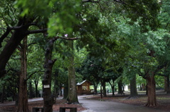 DSC00094