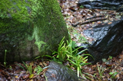 DSC00147