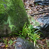 DSC00147