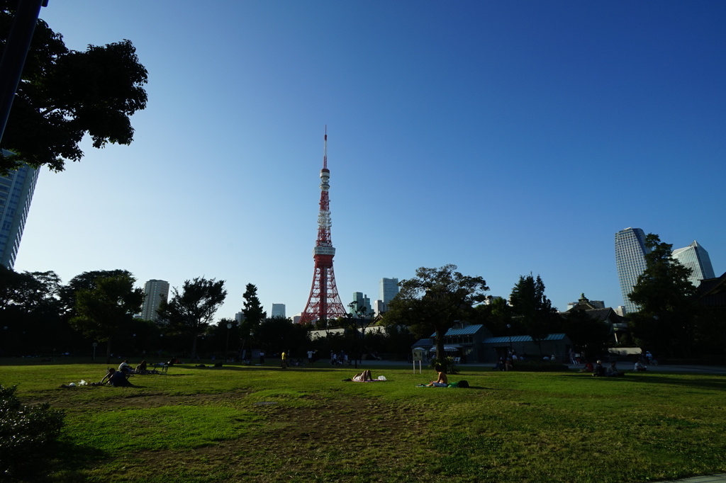公園の向こう
