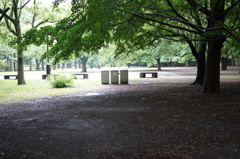 DSC00089