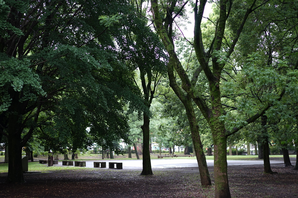 DSC00165