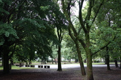 DSC00165