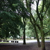 DSC00165