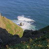 shireba