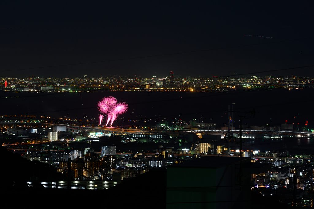 夜景と花火