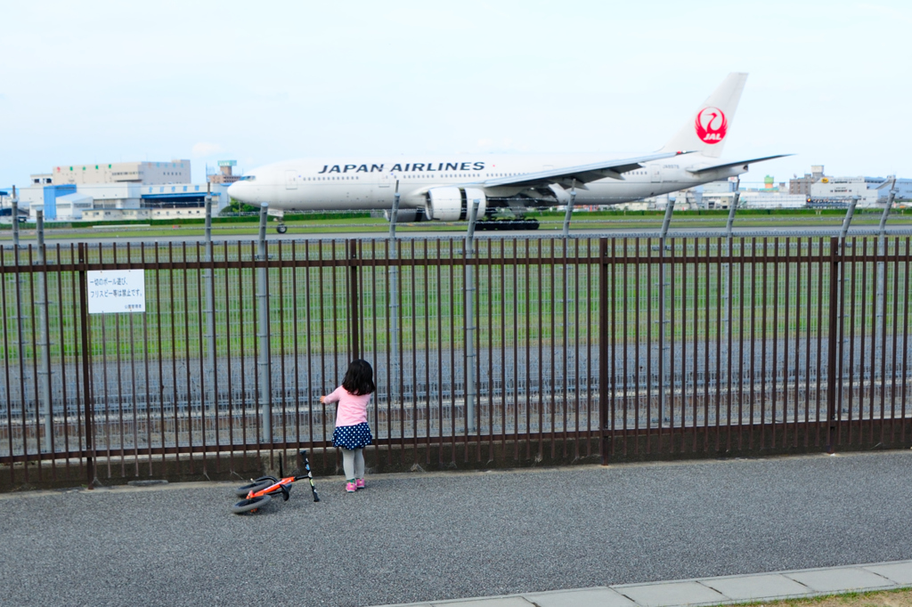 飛行機を眺めて…。