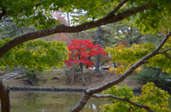 紅く染まる