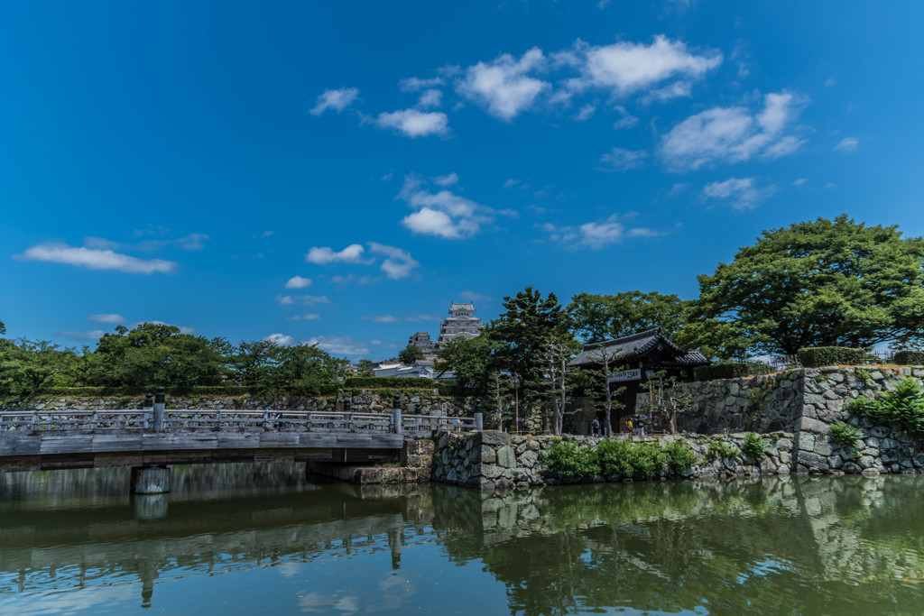 真夏の白鷺