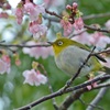 見つめる先には